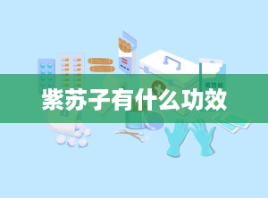 紫苏子有什么功效