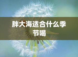 胖大海适合什么季节喝