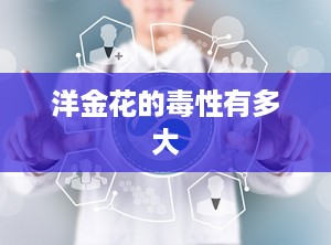洋金花的毒性有多大