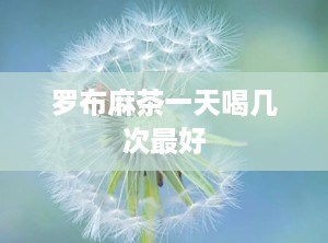 罗布麻茶一天喝几次最好