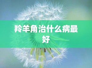 羚羊角治什么病最好