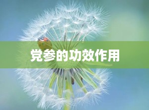 党参的功效作用