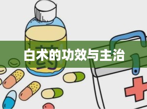 白术的功效与主治