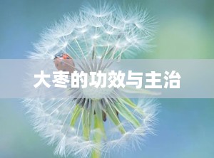 大枣的功效与主治