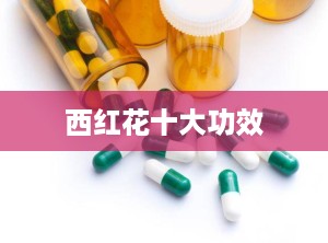 西红花十大功效