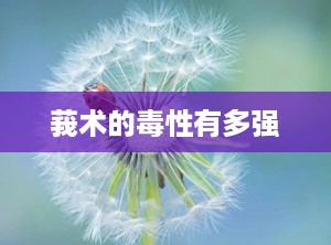 莪术的毒性有多强