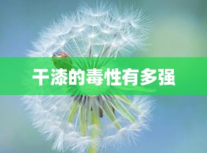 干漆的毒性有多强