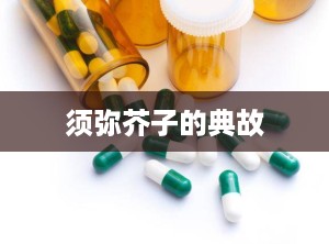 须弥芥子的典故