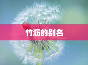 竹沥的别名