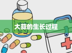 大蒜的生长过程
