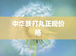 中华跌打丸正规价格