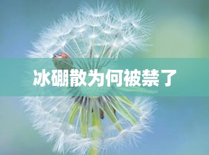 冰硼散为何被禁了
