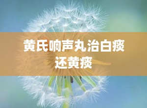 黄氏响声丸治白痰还黄痰