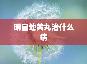 明目地黄丸治什么病