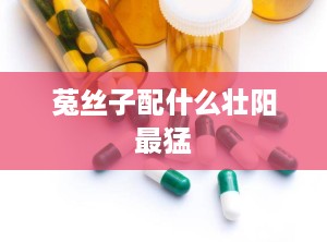 菟丝子配什么壮阳最猛