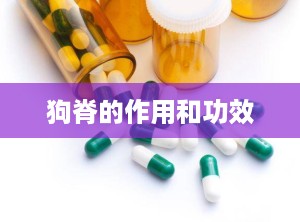 狗脊的作用和功效