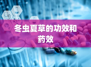 冬虫夏草的功效和药效