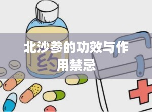 北沙参的功效与作用禁忌