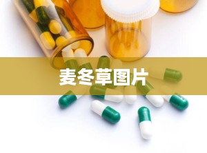 麦冬草图片