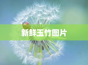 新鲜玉竹图片