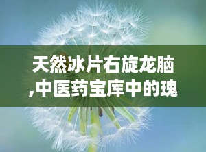 天然冰片右旋龙脑,中医药宝库中的瑰宝