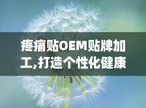疼痛贴OEM贴牌加工,打造个性化健康解决方案