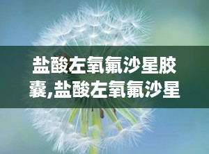 盐酸左氧氟沙星胶囊,盐酸左氧氟沙星胶囊——详细介绍及使用指南