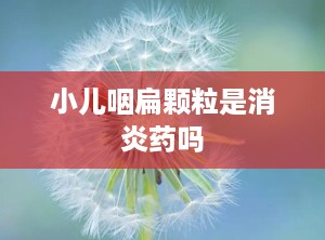 小儿咽扁颗粒是消炎药吗