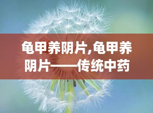 龟甲养阴片,龟甲养阴片——传统中药的现代应用