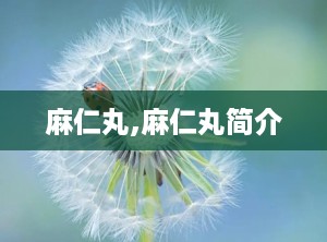 麻仁丸,麻仁丸简介