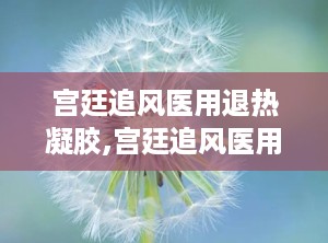 宫廷追风医用退热凝胶,宫廷追风医用退热凝胶——夏日清凉守护神