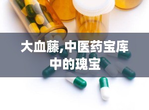 大血藤,中医药宝库中的瑰宝