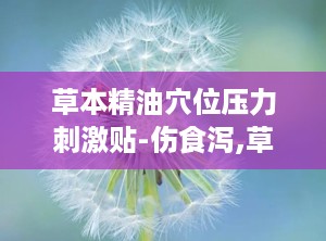 草本精油穴位压力刺激贴-伤食泻,草本精油穴位压力刺激贴——伤食泻的克星