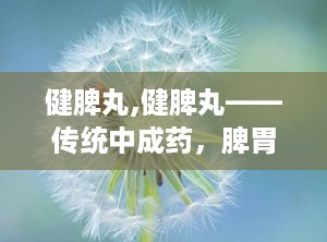 健脾丸,健脾丸——传统中成药，脾胃虚弱者的福音