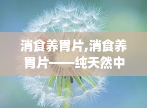 消食养胃片,消食养胃片——纯天然中草药，呵护您的肠胃健康