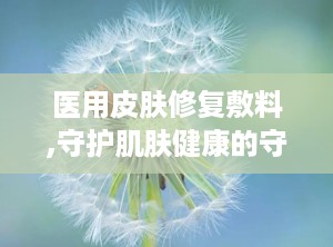 医用皮肤修复敷料,守护肌肤健康的守护神
