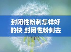 封闭性粉刺怎样好的快 封闭性粉刺去除小妙招