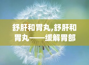 舒肝和胃丸,舒肝和胃丸——缓解胃部不适，调和肝胃之气的良药
