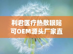利君医疗热敷眼贴可OEM源头厂家直供