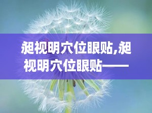 昶视明穴位眼贴,昶视明穴位眼贴——缓解眼部疲劳，守护视力健康