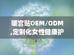 暖宫贴OEM/ODM,定制化女性健康护理解决方案