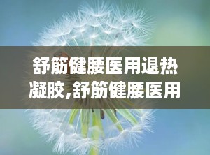 舒筋健腰医用退热凝胶,舒筋健腰医用退热凝胶——您的健康守护者
