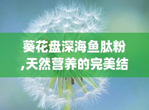 葵花盘深海鱼肽粉,天然营养的完美结合