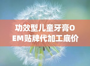 功效型儿童牙膏OEM贴牌代加工底价招商,功效型儿童牙膏OEM贴牌代加工，开启您的品牌新篇章