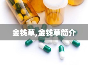 金钱草,金钱草简介