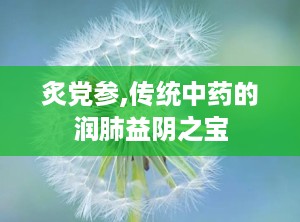 炙党参,传统中药的润肺益阴之宝