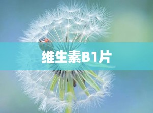 维生素B1片
