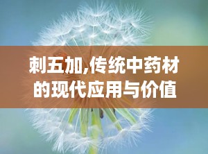 刺五加,传统中药材的现代应用与价值