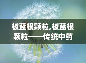 板蓝根颗粒,板蓝根颗粒——传统中药的现代应用