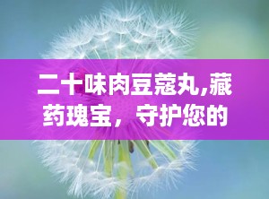 二十味肉豆蔻丸,藏药瑰宝，守护您的身心健康